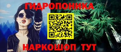 гашик Волжский