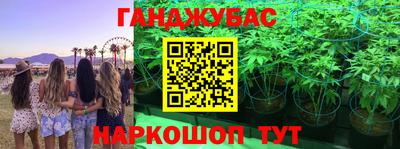 гашик Волжский