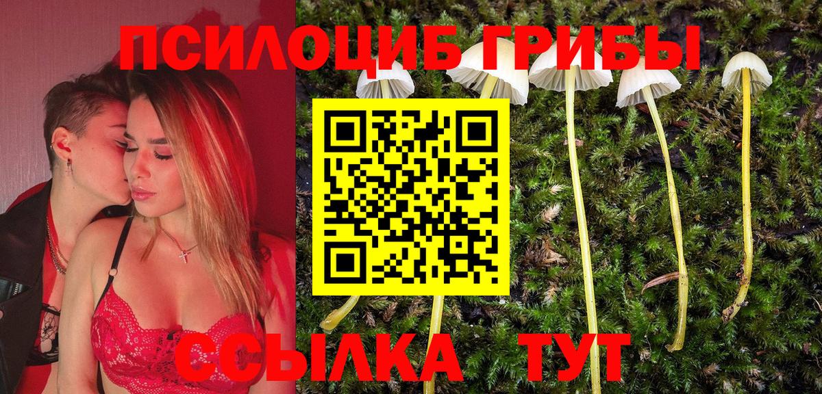 Галлюциногенные грибы Cubensis Мытищи